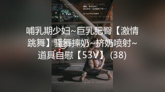 哺乳期少妇~巨乳肥臀【激情跳舞】骚舞摔奶~挤奶喷射~道具自慰【53V】 (38)