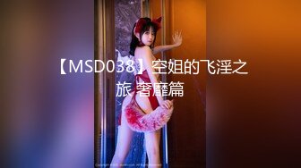 【MSD038】空姐的飞淫之旅 奢靡篇