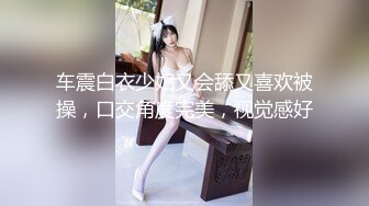 车震白衣少妇又会舔又喜欢被操，口交角度完美，视觉感好