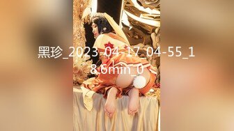 黑珍_2023-04-17_04-55_18.6min_0