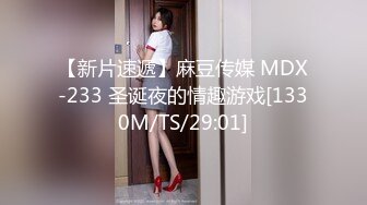 【新片速遞】麻豆传媒 MDX-233 圣诞夜的情趣游戏[1330M/TS/29:01]