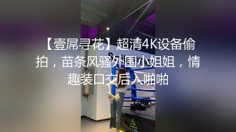 【壹屌寻花】超清4K设备偷拍，苗条风骚外围小姐姐，情趣装口交后入啪啪