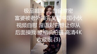 ❤️极品媚黑❤️白金泄密❤️富婆被老外操完又和中国小伙视频自慰 淫语对白想让你从后面操我 原相机拍摄 高清4K收藏版 (3)