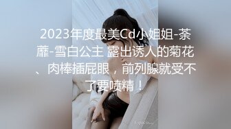 2023年度最美Cd小姐姐-荼蘼-雪白公主 露出诱人的菊花、肉棒插屁眼，前列腺就受不了要喷精！