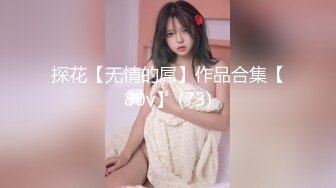 探花【无情的屌】作品合集【80v】 (73)