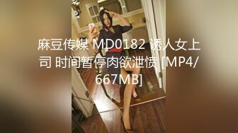 麻豆传媒 MD0182 诱人女上司 时间暂停肉欲泄愤 [MP4/667MB]