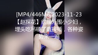 [MP4/446MB]2023-11-23【赵探花】约操外围小少妇，埋头吃吊硬了直接插，各种姿势来一遍