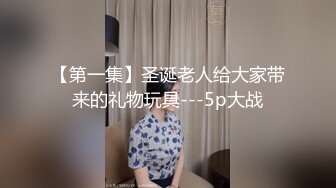 【第一集】圣诞老人给大家带来的礼物玩具---5p大战