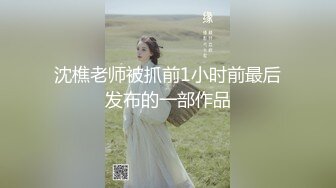 沈樵老师被抓前1小时前最后发布的一部作品