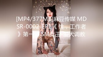 [MP4/377MB]麻豆传媒 MDSR-0002-EP1《 性，工作者》第一集 SM女王-爱犬调教