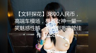 【文轩探花】3800人民币，高端车模场，极品女神一颦一笑魅惑性感，香艳刺激撸管佳作_prob4