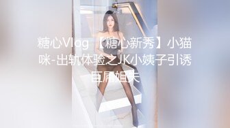 糖心Vlog 【糖心新秀】小猫咪-出轨体验之JK小姨子引诱巨屌姐夫