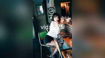 vids_275