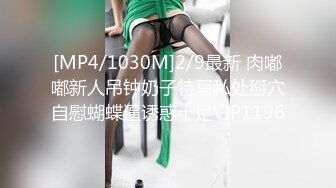 [MP4/1030M]2/9最新 肉嘟嘟新人吊钟奶子特写私处掰穴自慰蝴蝶逼诱惑十足VIP1196